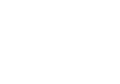 logo-profisee-white